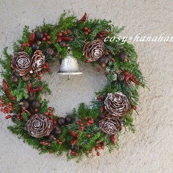 Noelシダ―ローズと野バラの実wreathの画像