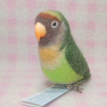 ヤエザクラインコ mini♪☆マグネット/ブローチどちらか選択 羊毛フェルト　受注作成　うちの子オーダー可能　工房小鳥屋さんの画像