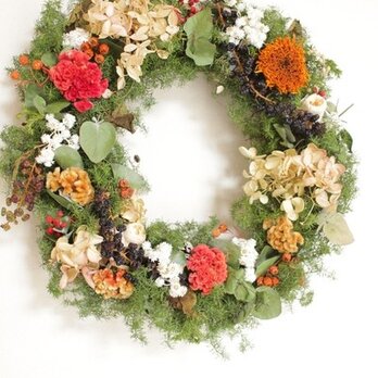 一冬飾れるケイトウとヨウシュヤマゴボウのChristmas wreathの画像