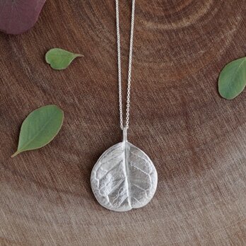 Feijoa leaf necklace (round) [P074SV]の画像