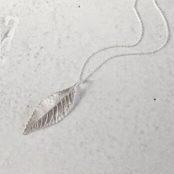 Elm leaf necklace [P078SV]の画像