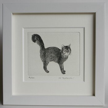 シッポの大きな猫 / 銅版画 (額あり）の画像