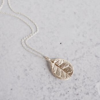 Feijoa leaf necklace (small) [P076K10]の画像