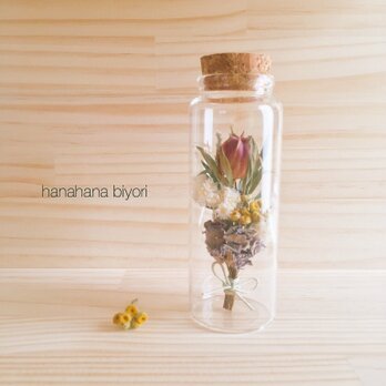 クロタネソウの実と小花のミニミニブーケ小瓶の画像