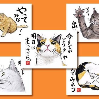 「ねことば」ポストカード5枚組 Aの画像