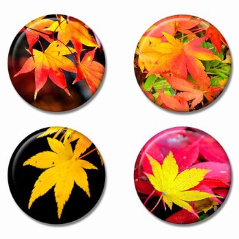 「紅葉」缶バッジ 4個セット Aの画像