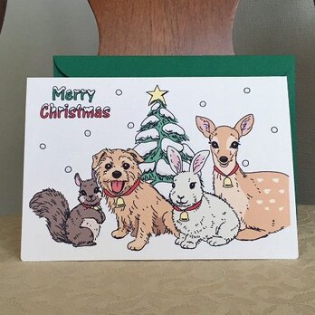 クリスマスカード＊ノーフォークテリアと森の仲間たちの画像