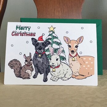 クリスマスカード＊ミニチュアシュナウザーと森の仲間たちの画像