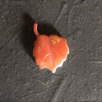 セミオーダー【蔦の葉】