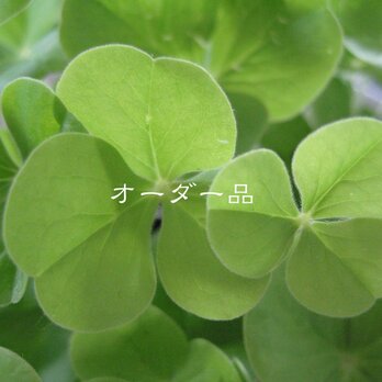 keyさまオーダー専用