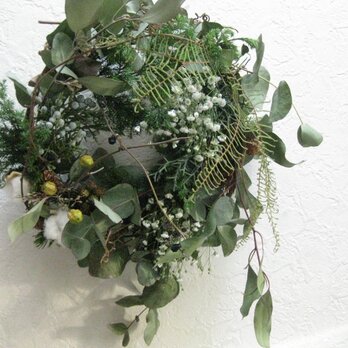 鳥の巣wreath-冬のユーカリの画像