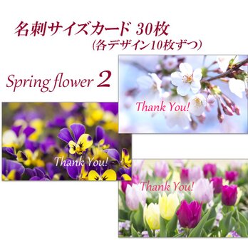 春の花 2  名刺サイズサンキューカード   30枚の画像
