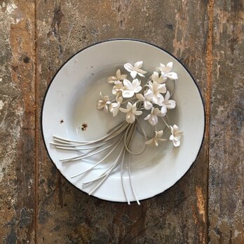 清らかなパール菫…suMire-bouquetの画像