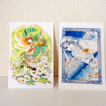 春の妖精ポストカードセット（カモミール・スイセン）の画像