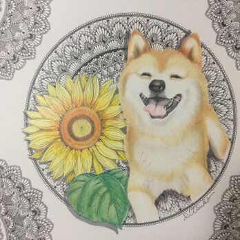 原画 肉筆 一点もの ボールペンアート  柴犬　犬 百貨店作家 人気 ボールペン画 絵画の画像