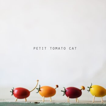Petit tomato cat（プチトマ猫）