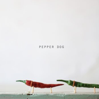 Pepper dog（とうがらし犬）の画像