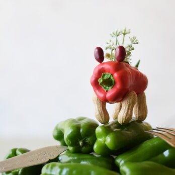 Red pepper dog（ミミマメ）小型犬の画像