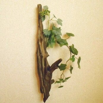 【温泉流木】美しくそぎ落とされた枝流木の花器  壁掛け一輪挿し花瓶 流木インテリアの画像
