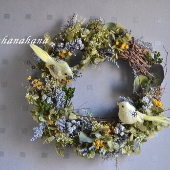 つがいの小鳥＊春wreathの画像