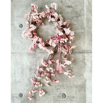 枝垂れ桜リース「受注制作」