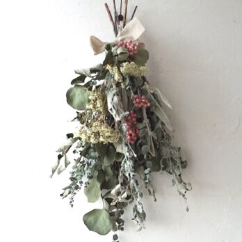 冬から春への移ろい