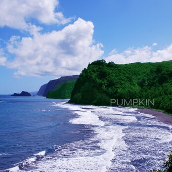 ハワイ島ボロル渓谷-1　　PH-A4-0152   写真　ハワイ島　ハワイ諸島　太平洋の画像