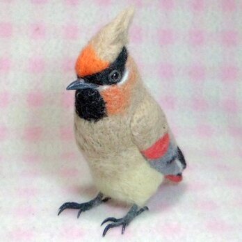 ヒレンジャク  miniリアル♪ 　野鳥  羊毛フェルト　受注作成　羊毛フィギュア　羊毛インコ　工房小鳥屋さん　メモリアルの画像