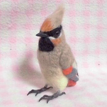 ヒレンジャク  miniリアル♪ 　野鳥  羊毛フェルト　受注作成　羊毛フィギュア　羊毛インコ　工房小鳥屋さん　メモリアルの画像
