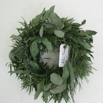 再出品green wreath-冬から春への画像