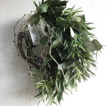 ユーカリとミモザのgreen-wreathの画像