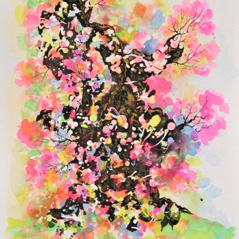 千年桜の画像