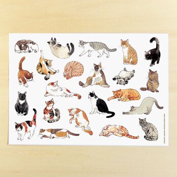猫のデザインペーパーの画像