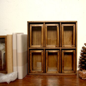 標本箱と棚のセット。