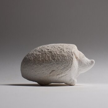 ハリネズミ３  hedgehog3