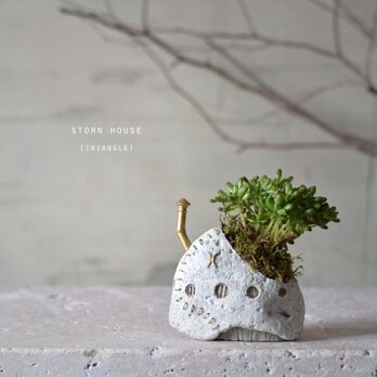 storn house（triangle) white 多肉植物の画像