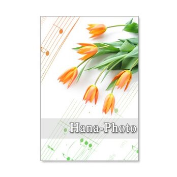 1217）春の花　チューリップ　　ポストカード5枚組の画像