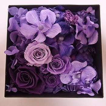 プリザーブドフラワーのボックスアレンジ「紫蘭」の画像
