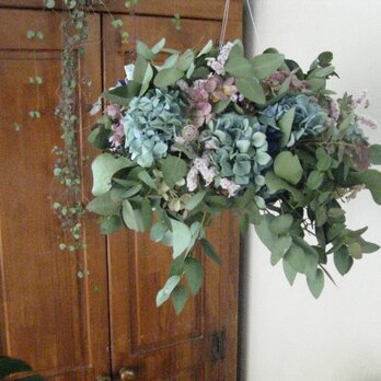 揺れるwreath-春の紫陽花