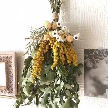 Antique Mimosa & Green Mサイズの画像
