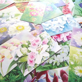 ２７枚、花の水彩画メッセージカード　２７種柄違いの画像