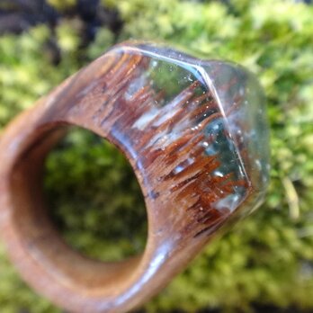 Wood & 木の指輪　針葉樹の森の画像
