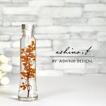 herbarium "pepper tree" ーorangeー　mermaid bottle <ラッピング付>の画像