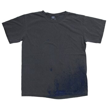 青カビ Tシャツ　ユニセックスS〜XLサイズ　Tcollectorの画像