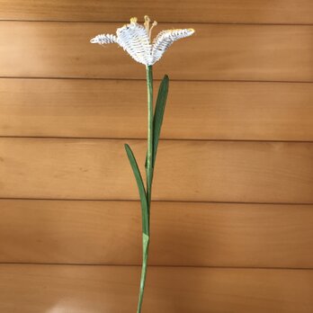 ラタン（籐）の花　～白いユリ～の画像