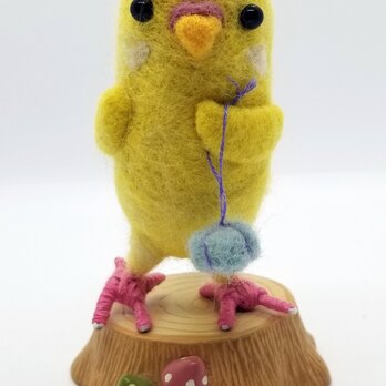 羊毛フェルトせきせいいんこ