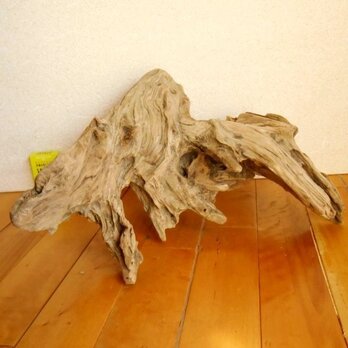 【温泉流木】上下に置ける根っこの流木 流木オブジェ 素材 流木インテリアの画像