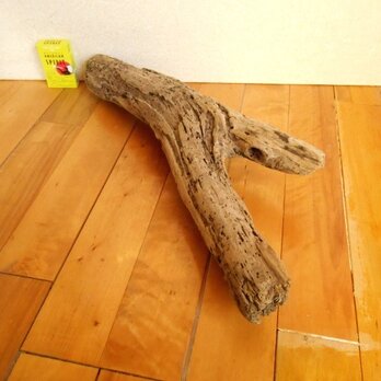 【温泉流木】海のＹの字流木  流木素材 インテリア素材 木材の画像