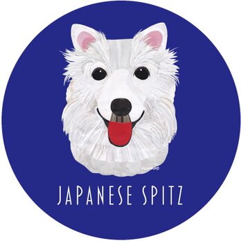 日本スピッツ《犬種名ステッカー/小型犬》の画像