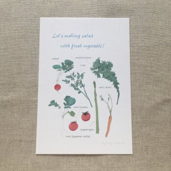 No.10ポストカード2枚セット　野菜の画像